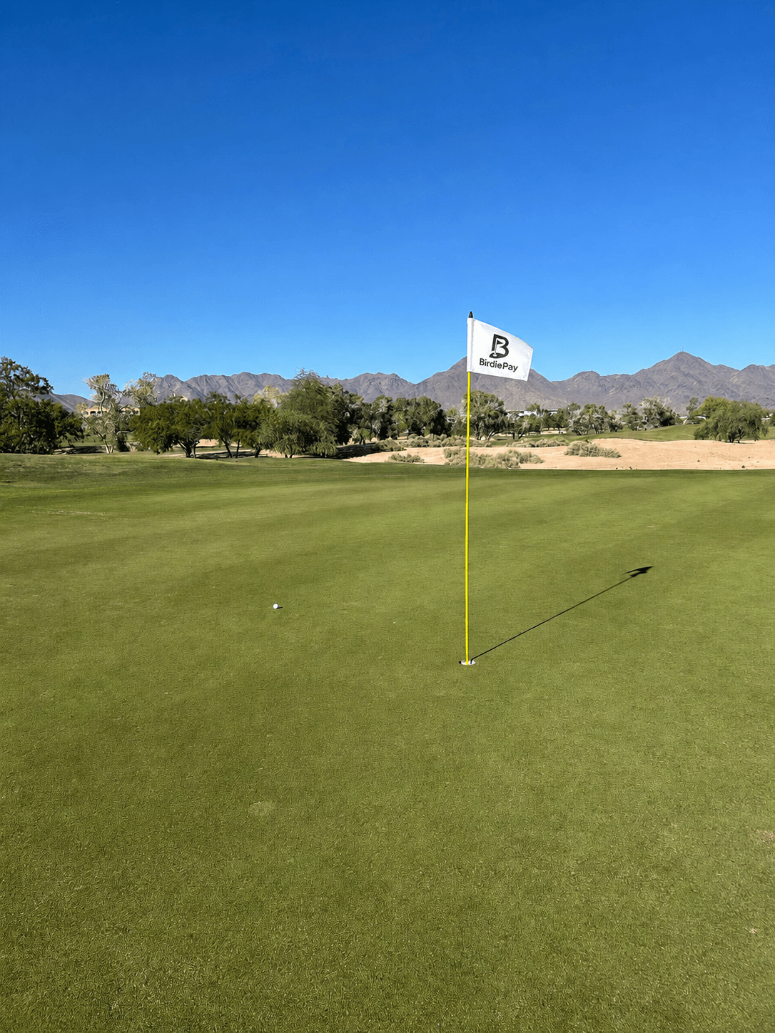 Scottsdale golf green with a BirdiePay flag on the pin, desert mountains under a clear blue sky.